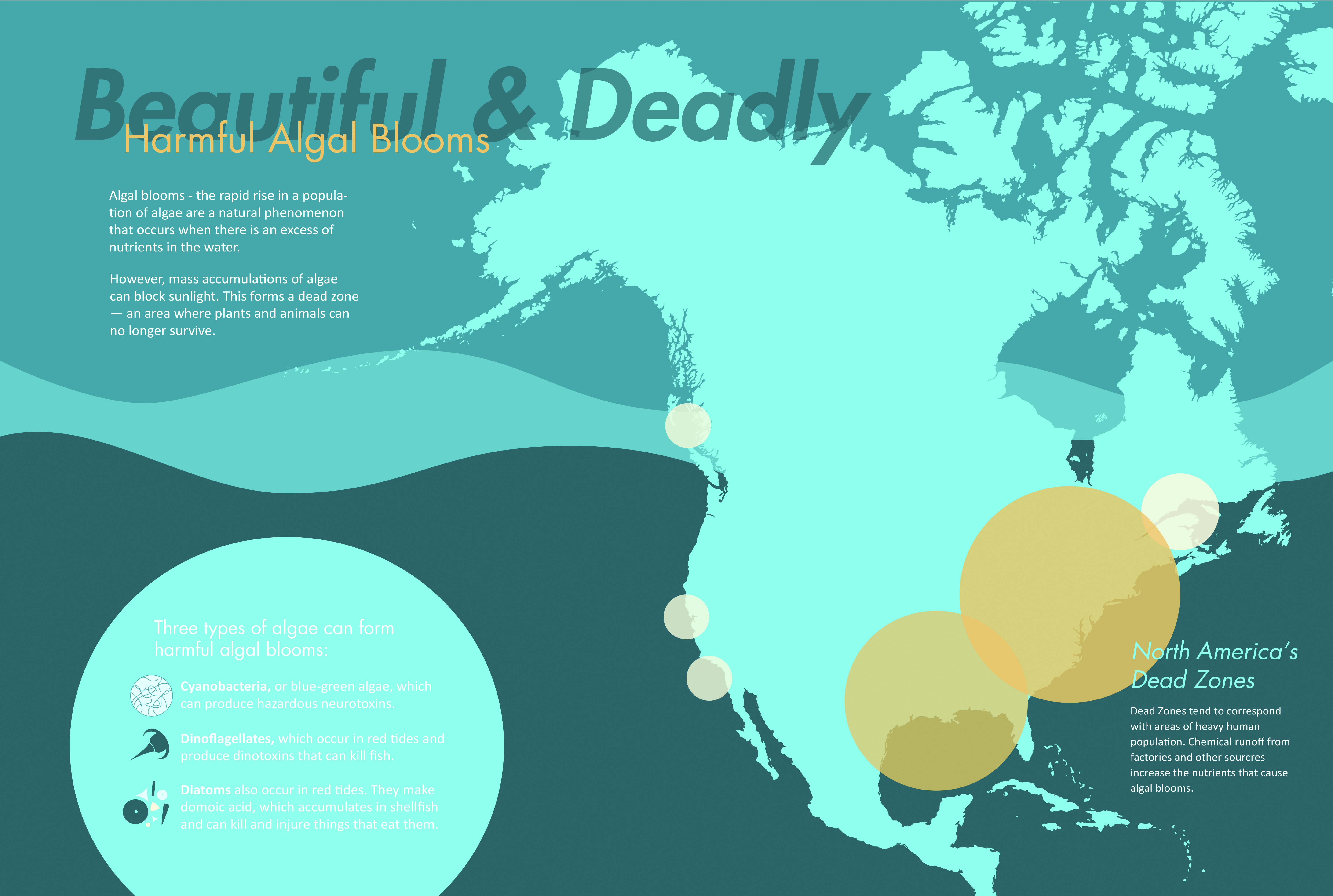 Beautiful But Deadly poster