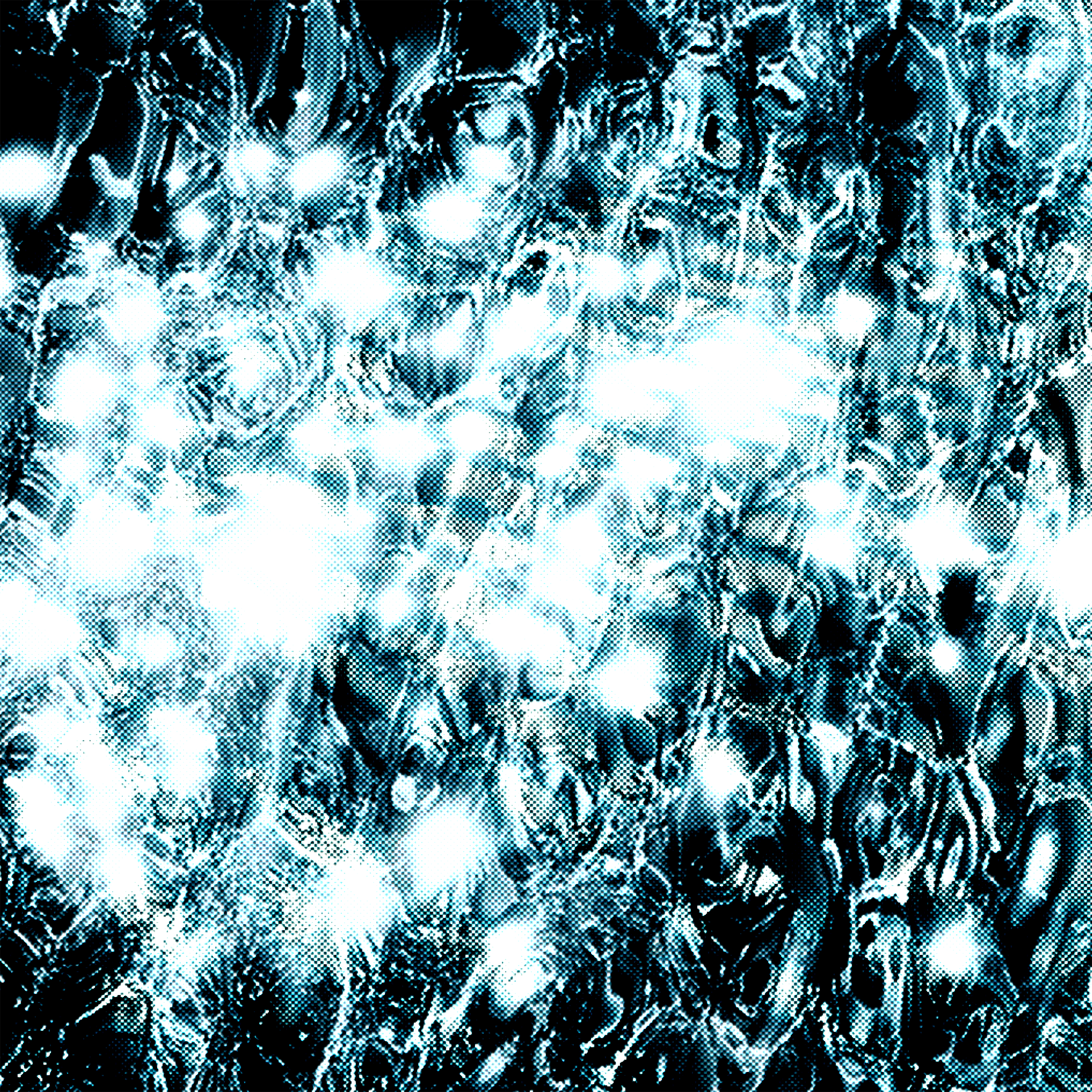 experimental image making